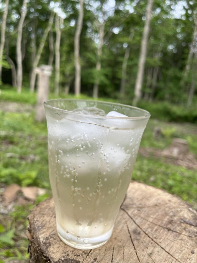 森での体験、夏の薪仕事。